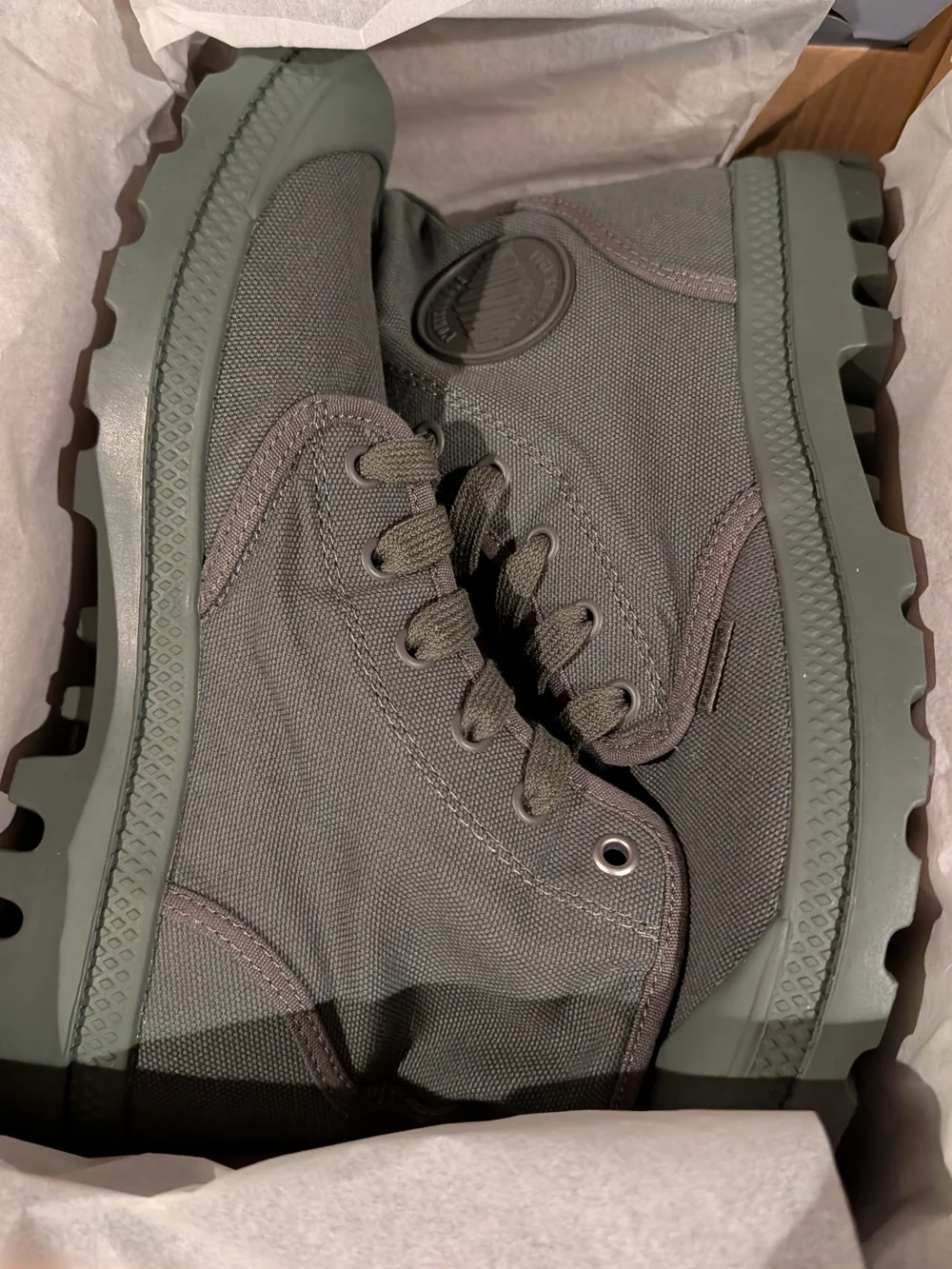 Palladium Olive Night Pampa Hi V Shoe Box